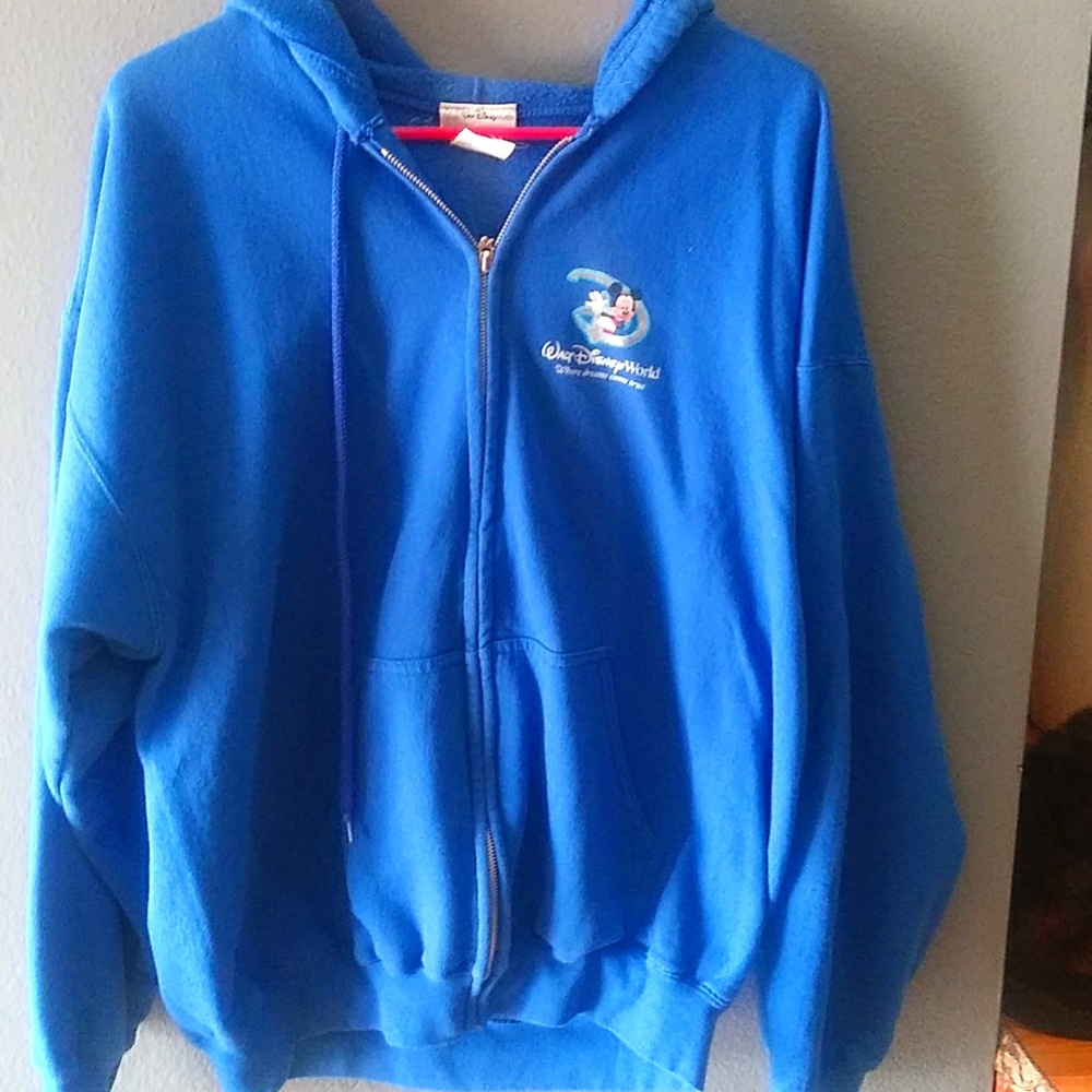 Walt Disney World "where dreams come true hoodie